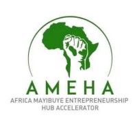 Afrika Mayibuye Entrepreneurship Hub Accelerator logo - Similar company to Wra Consults