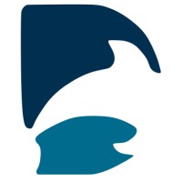 Delfing logo - Similar company to Donandocl