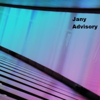 Jany Advisory logo - Similar company to Schauf Consulting