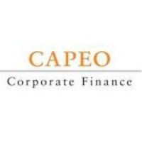 CAPEO Corporate Finance logo - Similar company to Acquarium