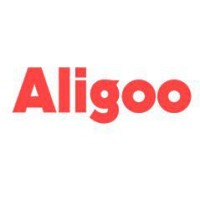Aligoo - Digital Marketing Agency in Ethiopia logo - Similar company to Detara Marketing