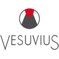 Vesuvius Flow Control Digital Services logo - Similar company to Fuzzycell