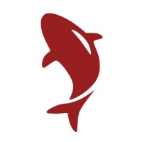 Koi Technologies logo - Similar company to Koi Technologies (Usa)