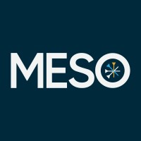 MESO Capital logo - Similar company to Yixu