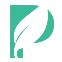 Paxo logo - Similar company to Strellastudio