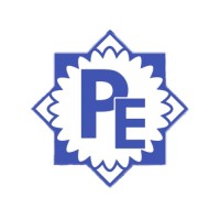 Prachi Enterprise logo - Similar company to Codrain Technolabs Pvt Ltd.