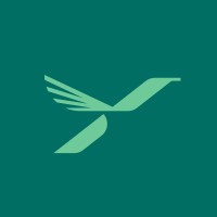 Fly Service logo - Similar company to Sky Services Spa