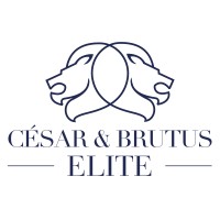 CESAR & BRUTUS - ELITE logo - Similar company to La Vigne Numérique