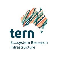 TERN Australia logo - Similar company to Psk Environmental