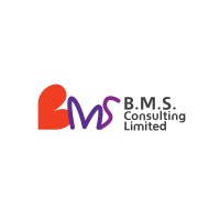 BMS Consulting Ltd logo - Similar company to Richards Basmajian