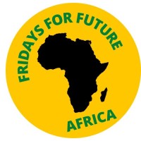 Fridays For Future Africa logo - Similar company to Studio 11 Art Gallery