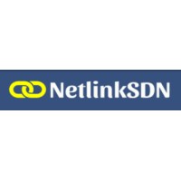 Netlink Software Defined Networking SDN logo - Similar company to Apex Data Pro