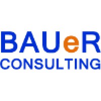 BAUeR Consulting logo - Similar company to Gcn Cellular Network Solutions