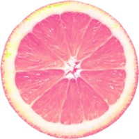 Pink Lemon logo - Similar company to Plixo