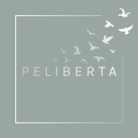 Peliberta logo - Similar company to Inxelo Technologies Ltd
