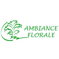 AMBIANCE FLORALE PARIS logo - Similar company to Graphixeen