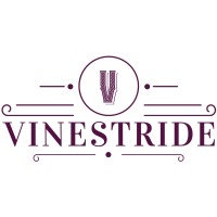 Vinestride LLC logo - Similar company to Dt Informatics