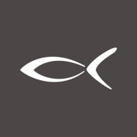 BLACKFIN - neomadeinitaly | titanium | eyewear logo - Similar company to Shenzhen Sailook Eyewear Co., Ltd.