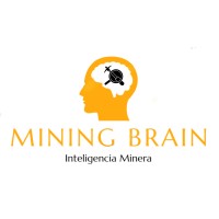 MINING BRAIN SAS logo - Similar company to Gemi S.A.S.