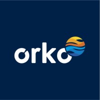 Orko Health Ltd logo - Similar company to Itmedicus