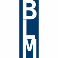 Blue Line Media, Llc