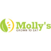 Molly'S Salads