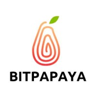 Bitpapaya logo - Similar company to C2C Solutions