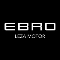 LEZA MOTOR logo - Similar company to Gaman Mobility