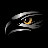 Visionary Vectors Consulting Inc.