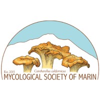 Mycological Society of Marin County logo - Similar company to Marin Center For Independent Living