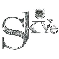 Skyye Lounge Blr logo - Similar company to Loft 38 Lounge Bar