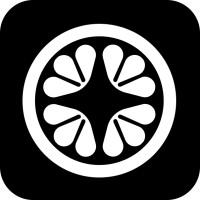 Limy AI logo - Similar company to 46C Group