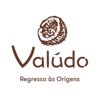 Valudo Lda logo - Similar company to Naoia
