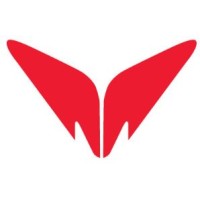 Mindsbourg logo - Similar company to Mindsberg Consulting