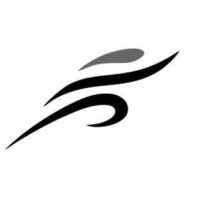 Black Ash Sports logo - Similar company to Brozone - Sports Equipment Sanitizing & More