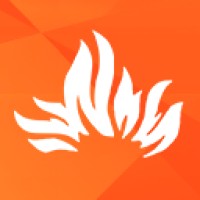 Flow Fire Games logo - Similar company to Toco Productions