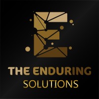 The Enduring Solutions - Web Design | Web Development | SEO | Web & Mobile Apps | Graphic Designing logo - Similar company to Hive Nextgen