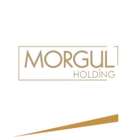 MORGUL HOLDİNG A.Ş. logo - Similar company to Dgn Holding