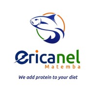 Ericanel Enterprises Private Limited logo - Similar company to Information Networking