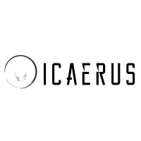 Icaerus Consulting LLC