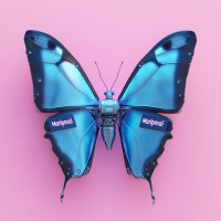 Mariposai logo - Similar company to Institute Of Administrative Sciences, University Of The Punjab, Lahore - Pakistan