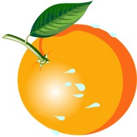 TechGasp logo - Similar company to Web Designer ( Wordpress Expert )