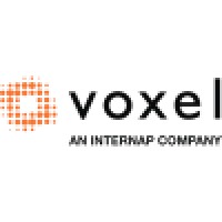 Voxel dot Net logo - Similar company to Turing Group