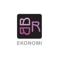 BBR Ekonomi AB logo - Similar company to Do Diligence