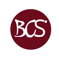 BCS Technologie logo - Similar company to Internet Puissance Plus Sa