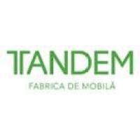 TANDEM logo - Similar company to Camelot Partners Srl