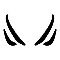 Instinct Gymwear logo - Similar company to Wolftech Gymwear