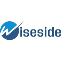 Wiseside logo - Similar company to Cyberarea