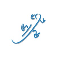Lizard logo - Similar company to Pb Polsoft