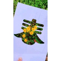 Chinese manufacturer logo - Similar company to Chinese Manufacturing Solutions